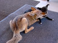 DSC03073.jpg