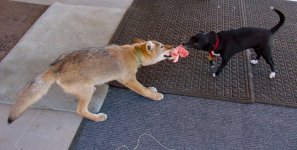 DSC00173.JPG