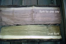 Split Walnut Labelled.jpg