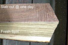 Split Slab Labelled.jpg