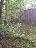 image-3614030524.jpg