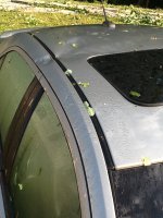image-1675487345.jpg