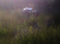 Nelson-20120610-00276.jpg
