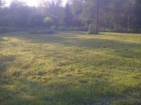 Nelson-20120610-00279.jpg
