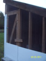 chicken coop 012.JPG