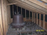 chicken coop 013.JPG