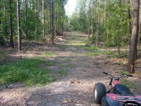 ffod plot after mulcher.JPG