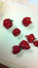 pepper.jpg pepper.jpg