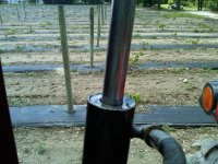 IMG00239-20120602-1420.jpg