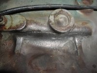 snake and crack 006.JPG