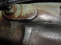 snake and crack 009.JPG