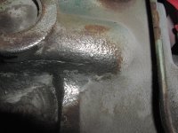 snake and crack 010.JPG