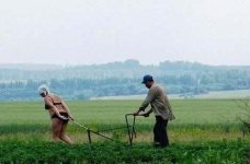 in_russia_women_pull_plow.jpg in_russia_women_pull_plow.jpg