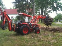Maple stump4.jpg