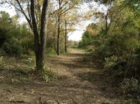 IMG_0626.jpg