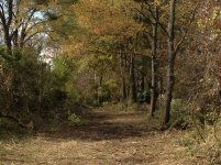 IMG_0629.jpg