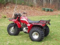 bigred.jpg