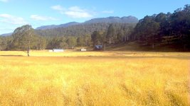 2012-01-23_17-36-14_682.jpg