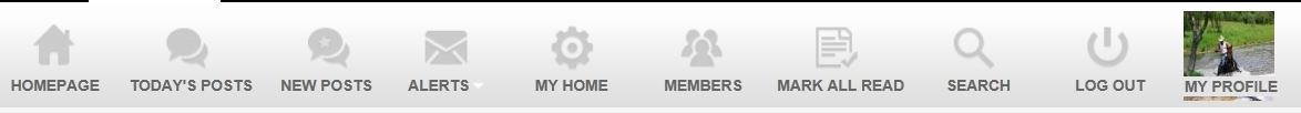 icons.JPG
