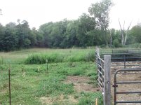 Royal M farm 011.jpg Royal M farm 011.jpg