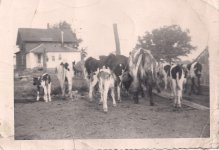Grandpa Flem Kennards Farm.jpg Grandpa Flem Kennards Farm.jpg