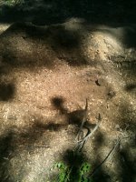 image-4160856039.jpg