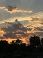 IMG_4233.jpeg