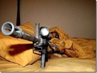 dog8.jpg