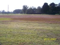 100_2937.jpg 100_2937.jpg