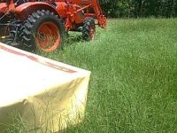 cutting hay2.JPG