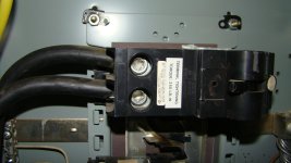 DSC02537.JPG