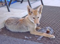 DSC08948.jpg