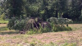 2012-07-04_11-38-29_223.jpg 2012-07-04_11-38-29_223.jpg