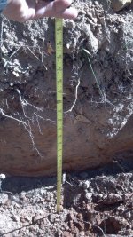 trench on mtn 5.jpg