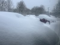 IMG_2183.jpeg