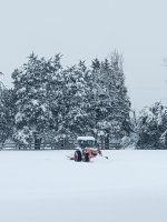 IMG_20250212_103853.jpg