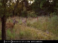 3Bucks_zpsc37c9a32.jpg
