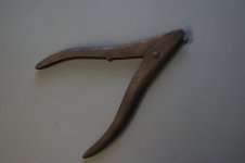 DSC02384.jpg