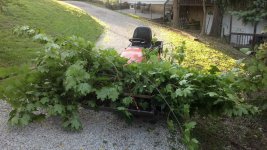 2012-06-12_19-53-10_556.jpg