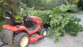 2012-06-12_19-53-29_183.jpg