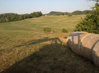 IMG_0189.jpg