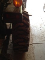 image-2195376984.jpg