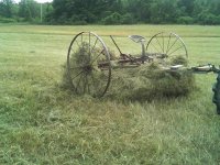 haying8.JPG