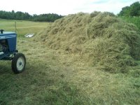 haying9.JPG