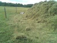 haying10.JPG