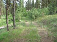 Land 070.jpg
