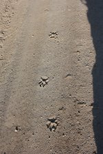 IMG_2637_2.jpg
