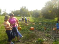pumpkins 012.jpg