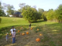 pumpkins 015.jpg