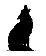 416147-Howling coyote.JPG